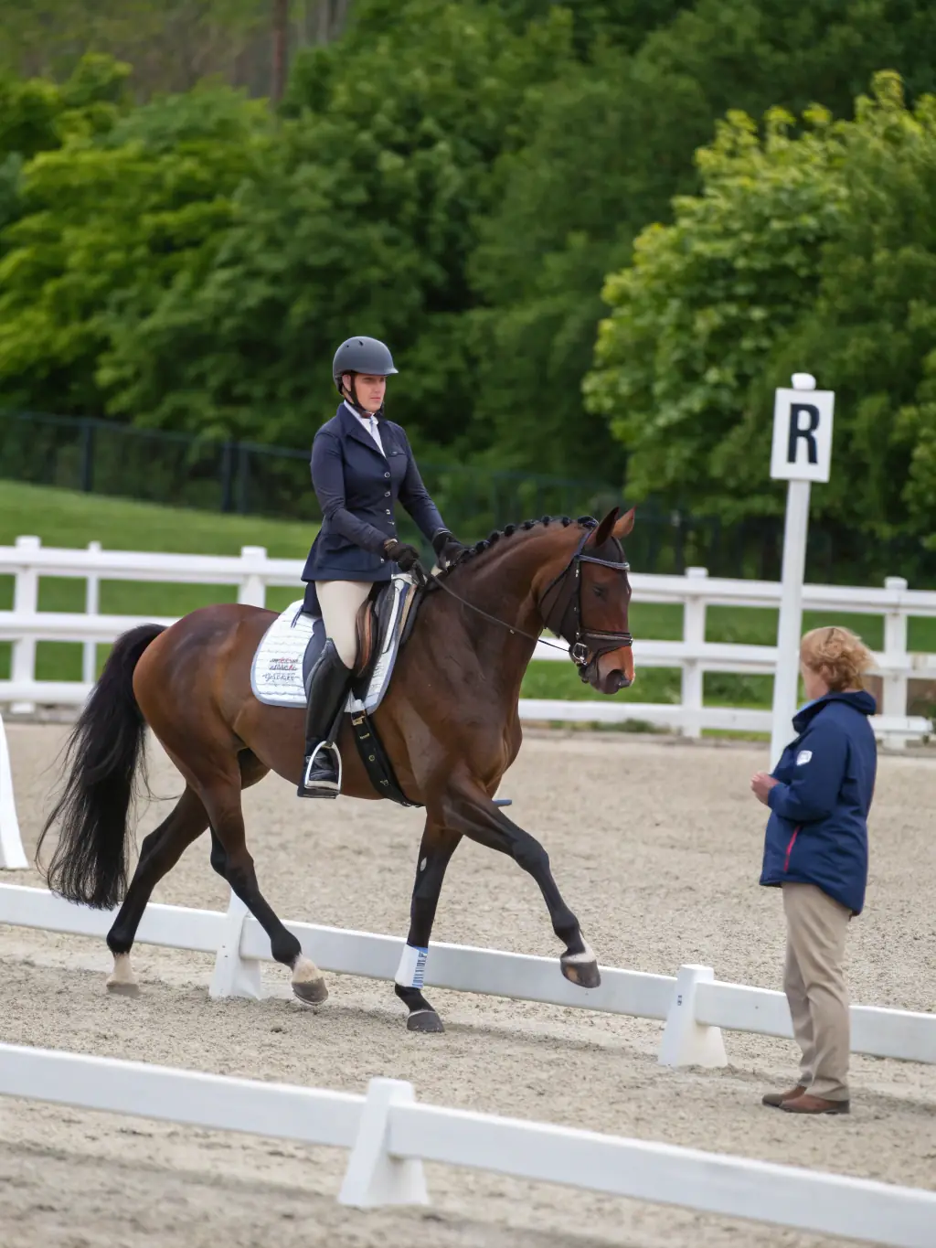 A rider and their horse navigating a challenging trail during an endurance ride, highlighting the adventure and skill involved in the sport.